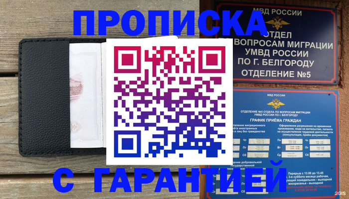 временная регистрация для всех в Амурской области